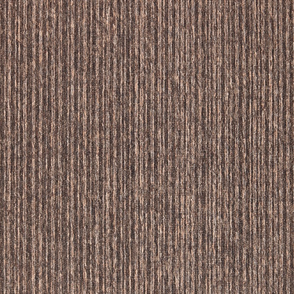 50631