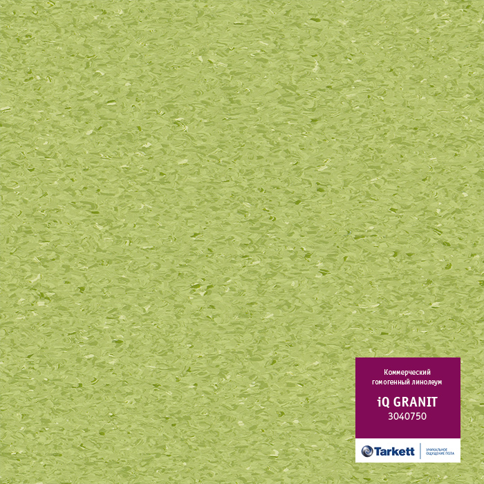 Atom_16705.base.image_big