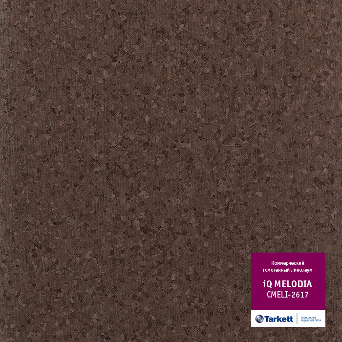 Atom_3386.base.image_big