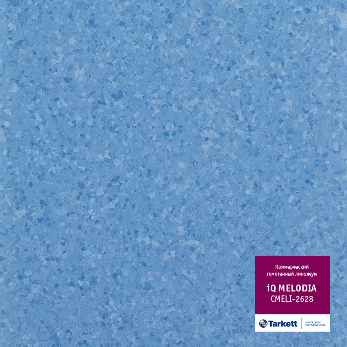 Atom_3391.base.image_big