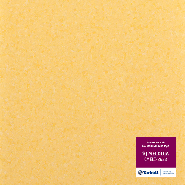 Atom_3392.base.image_big