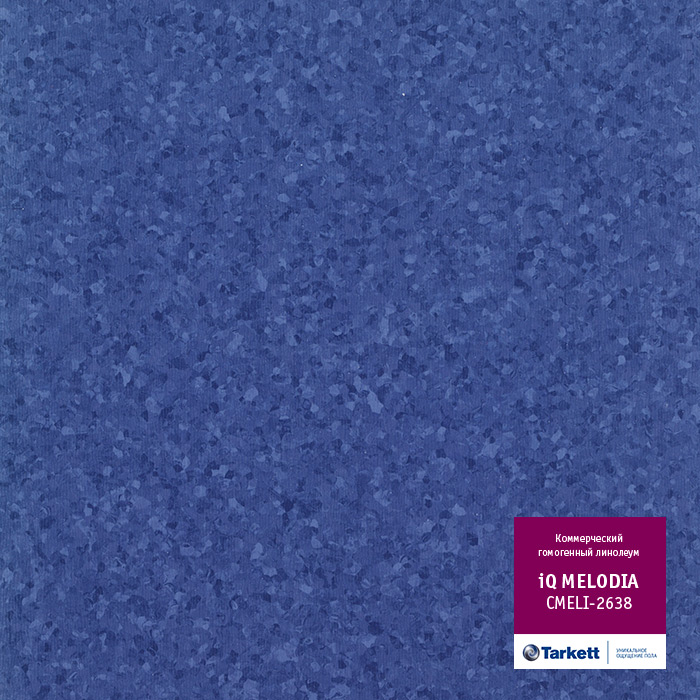 Atom_3395.base.image_big