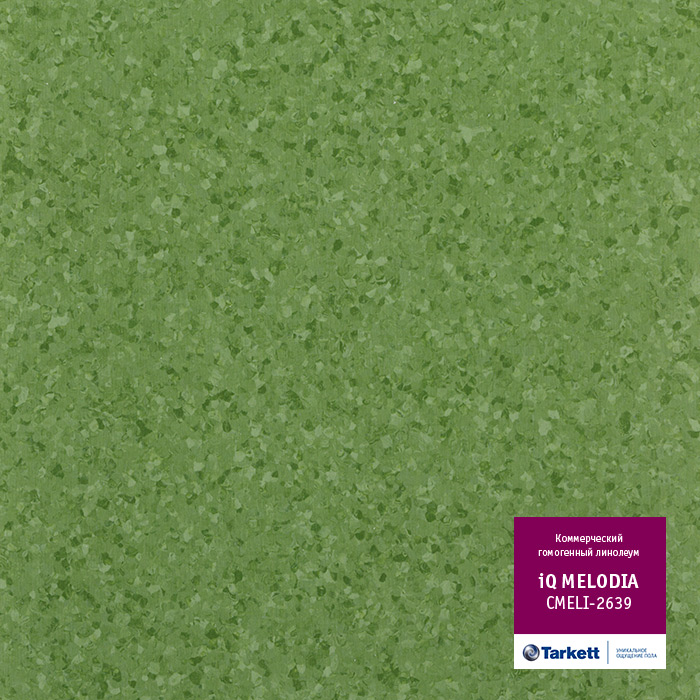 Atom_3396.base.image_big