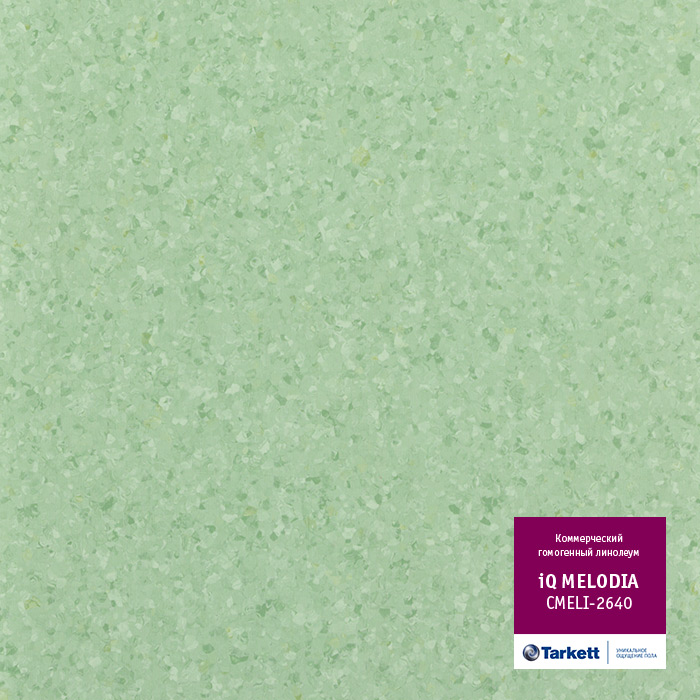 Atom_3397.base.image_big