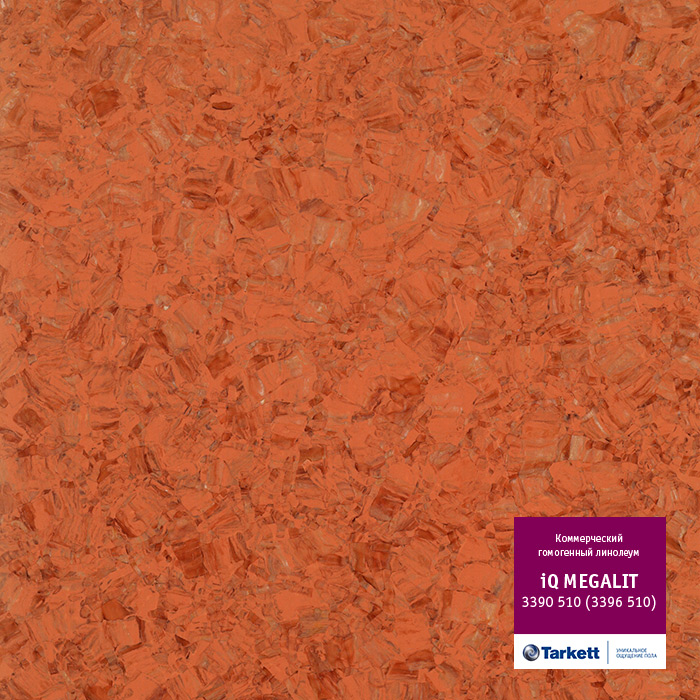 Atom_3427.base.image_big