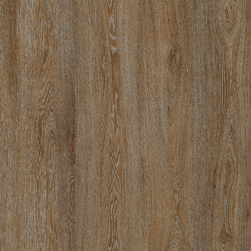d4842_dub_nobilis
