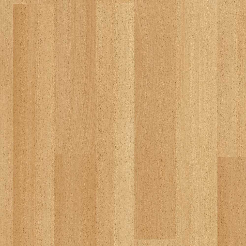 fp06_elmor_beech