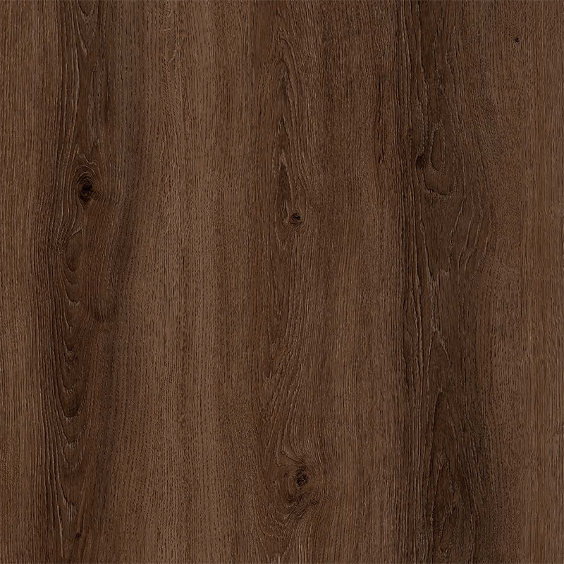 fp956_dub_karamelnyy