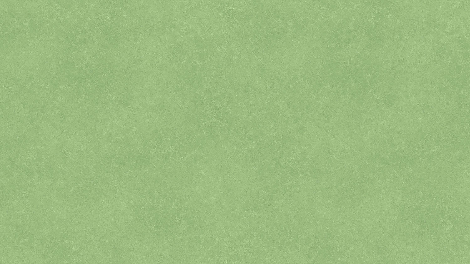THH_ACCZENT_PRO_NARA_6